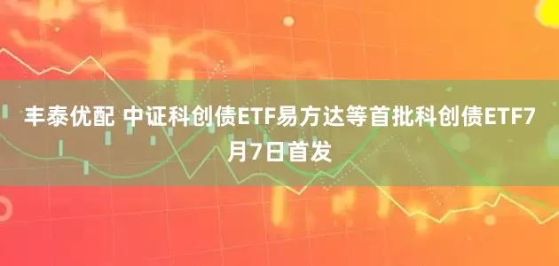 丰泰优配 中证科创债ETF易方达等首批科创债ETF7月7日首发