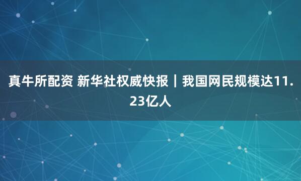 真牛所配资 新华社权威快报｜我国网民规模达11.23亿人