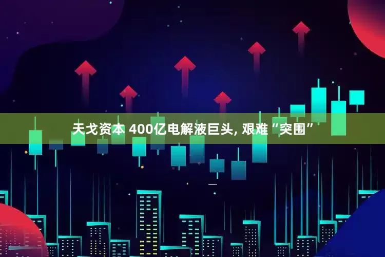 天戈资本 400亿电解液巨头, 艰难“突围”