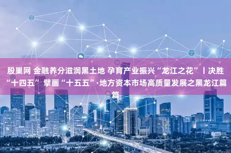 股巢网 金融养分滋润黑土地 孕育产业振兴“龙江之花”丨决胜“十四五” 擘画“十五五”·地方资本市场高质量发展之黑龙江篇