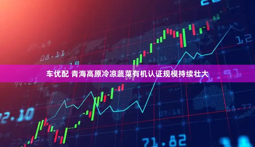 车优配 青海高原冷凉蔬菜有机认证规模持续壮大